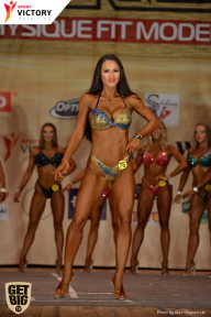 Men’s Physique & Bikini Stars - 2017