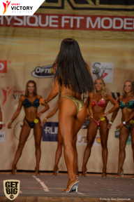 Men’s Physique & Bikini Stars - 2017