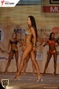 Men’s Physique & Bikini Stars - 2017