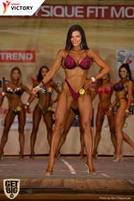 Men’s Physique & Bikini Stars - 2017