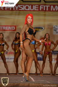 Men’s Physique & Bikini Stars - 2017