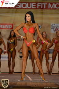 Men’s Physique & Bikini Stars - 2017
