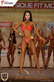 Men’s Physique & Bikini Stars - 2017