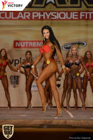 Men’s Physique & Bikini Stars - 2017