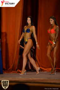 Men’s Physique & Bikini Stars - 2017