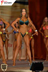 Men’s Physique & Bikini Stars - 2017