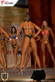 Men’s Physique & Bikini Stars - 2017