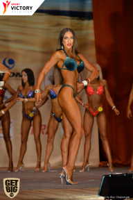 Men’s Physique & Bikini Stars - 2017