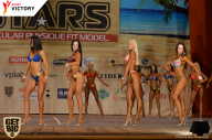 Men’s Physique & Bikini Stars - 2017