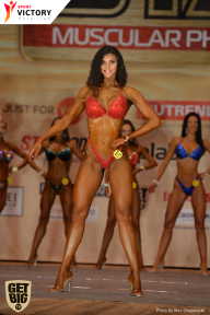Men’s Physique & Bikini Stars - 2017