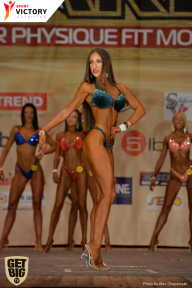 Men’s Physique & Bikini Stars - 2017