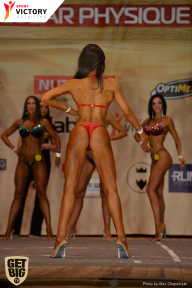 Men’s Physique & Bikini Stars - 2017