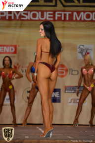 Men’s Physique & Bikini Stars - 2017