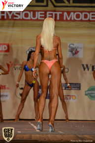 Men’s Physique & Bikini Stars - 2017