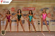 Men’s Physique & Bikini Stars - 2017