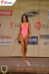 Men’s Physique & Bikini Stars - 2017