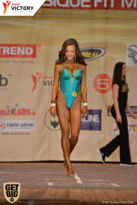 Men’s Physique & Bikini Stars - 2017