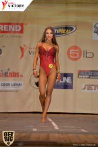 Men’s Physique & Bikini Stars - 2017