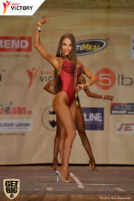 Men’s Physique & Bikini Stars - 2017