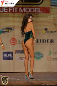 Men’s Physique & Bikini Stars - 2017