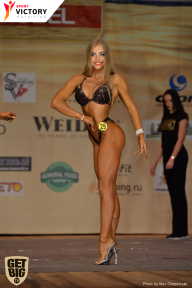 Men’s Physique & Bikini Stars - 2017