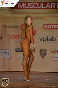 Men’s Physique & Bikini Stars - 2017
