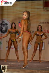 Men’s Physique & Bikini Stars - 2017