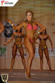Men’s Physique & Bikini Stars - 2017