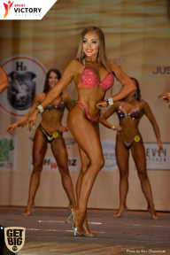 Men’s Physique & Bikini Stars - 2017