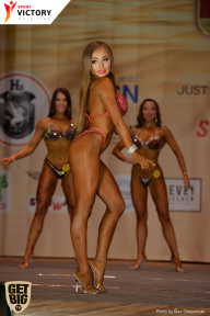 Men’s Physique & Bikini Stars - 2017