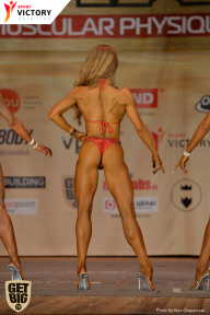 Men’s Physique & Bikini Stars - 2017