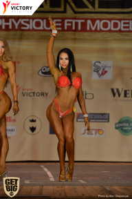 Men’s Physique & Bikini Stars - 2017