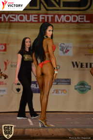 Men’s Physique & Bikini Stars - 2017