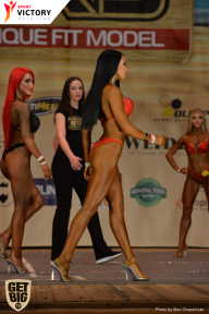 Men’s Physique & Bikini Stars - 2017