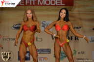 Men’s Physique & Bikini Stars - 2017