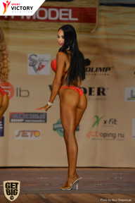 Men’s Physique & Bikini Stars - 2017