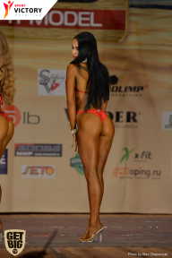 Men’s Physique & Bikini Stars - 2017