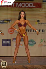 Men’s Physique & Bikini Stars - 2017