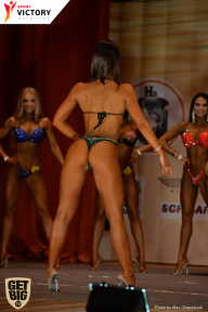 Men’s Physique & Bikini Stars - 2017