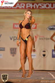 Men’s Physique & Bikini Stars - 2017
