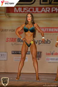Men’s Physique & Bikini Stars - 2017