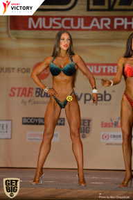 Men’s Physique & Bikini Stars - 2017