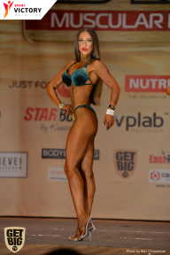 Men’s Physique & Bikini Stars - 2017
