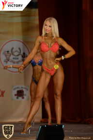 Men’s Physique & Bikini Stars - 2017