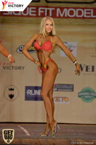 Men’s Physique & Bikini Stars - 2017