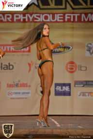 Men’s Physique & Bikini Stars - 2017