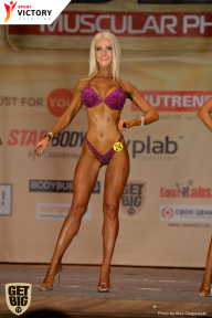 Men’s Physique & Bikini Stars - 2017