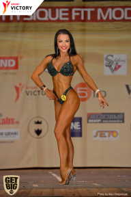 Men’s Physique & Bikini Stars - 2017