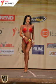 Men’s Physique & Bikini Stars - 2017