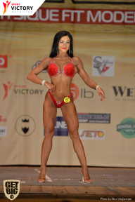 Men’s Physique & Bikini Stars - 2017